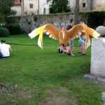 Pokémon Go im Schlosspark von Freistadt