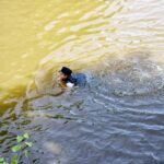 Sautrogregatta 2023 der Pfadfinder am Frauenteich Freistadt