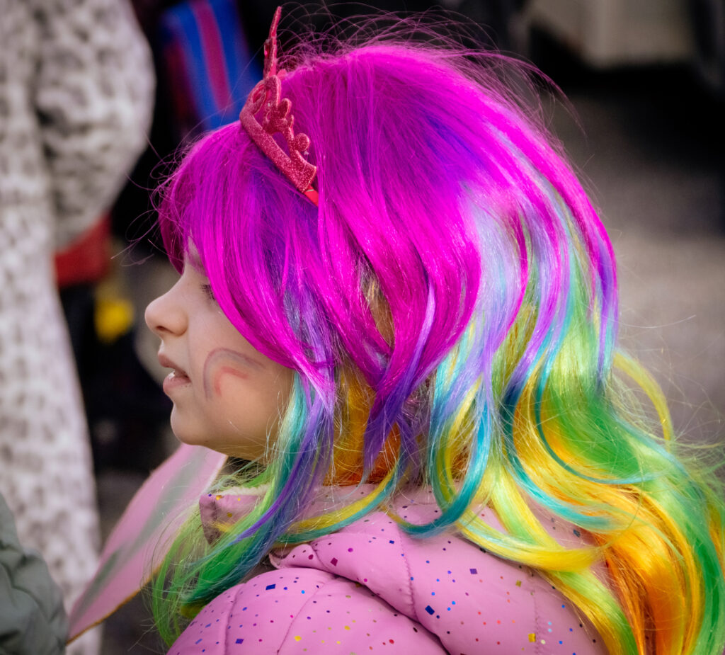 Faschingsdi-in-FR-24-11