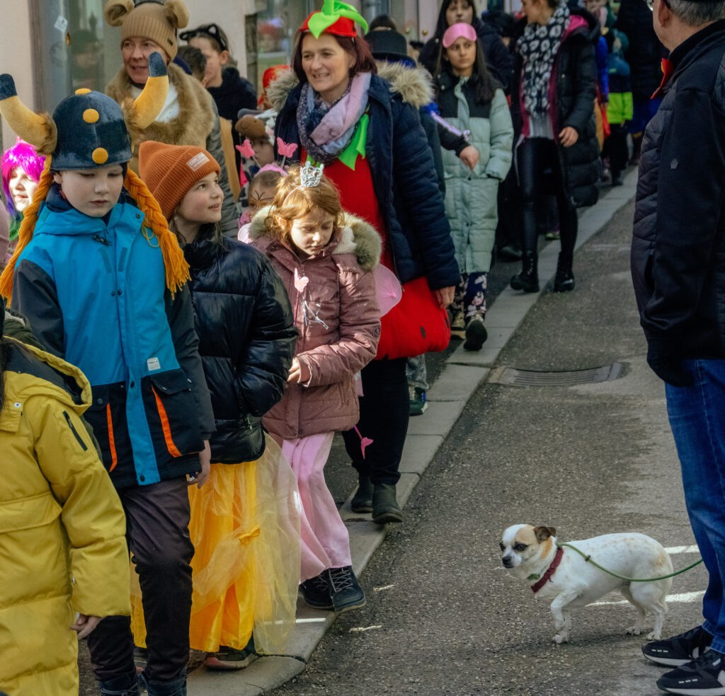 Faschingsdi-in-FR-24-2