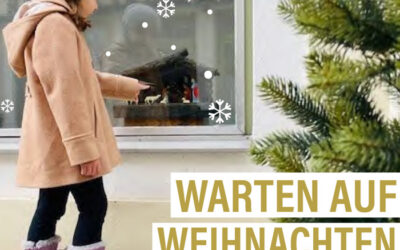 24 Schaufenster laden zum Suchspiel nach Freistadt